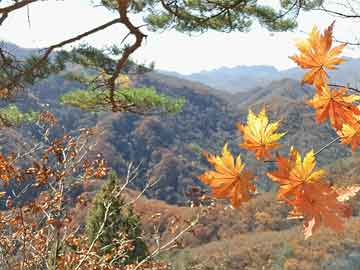 龙虎榜 | 弘讯科技今日涨停，宁波桑田路买入3233.54万元