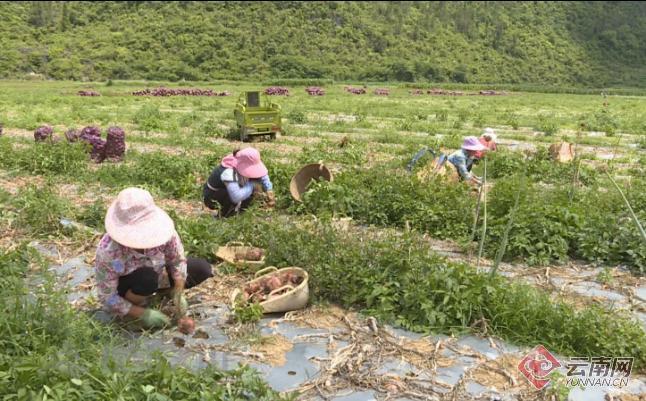 超200名国家一级演员开始做直播 直播舞台释放共赢效应